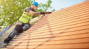 Best Roof Moss and Algae Removal  in Oldsmar, FL