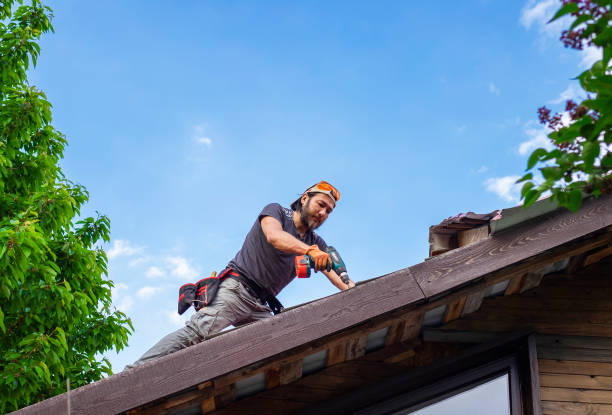 Best Storm Damage Roof Repair  in Oldsmar, FL