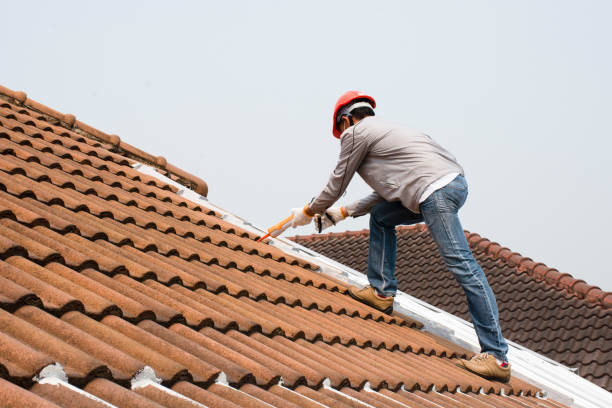 Best Roof Inspection  in Oldsmar, FL
