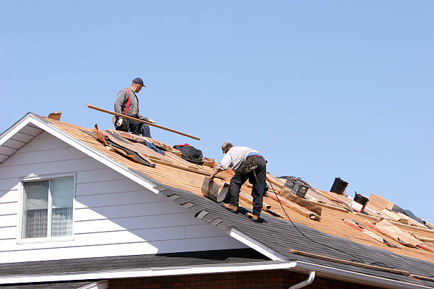 Best Tile Roofing Installation  in Oldsmar, FL