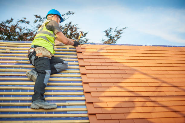 Best Commercial Roofing Services  in Oldsmar, FL